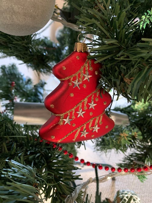 Free stock photo of christmas, christmas decorations, christmas red and gold