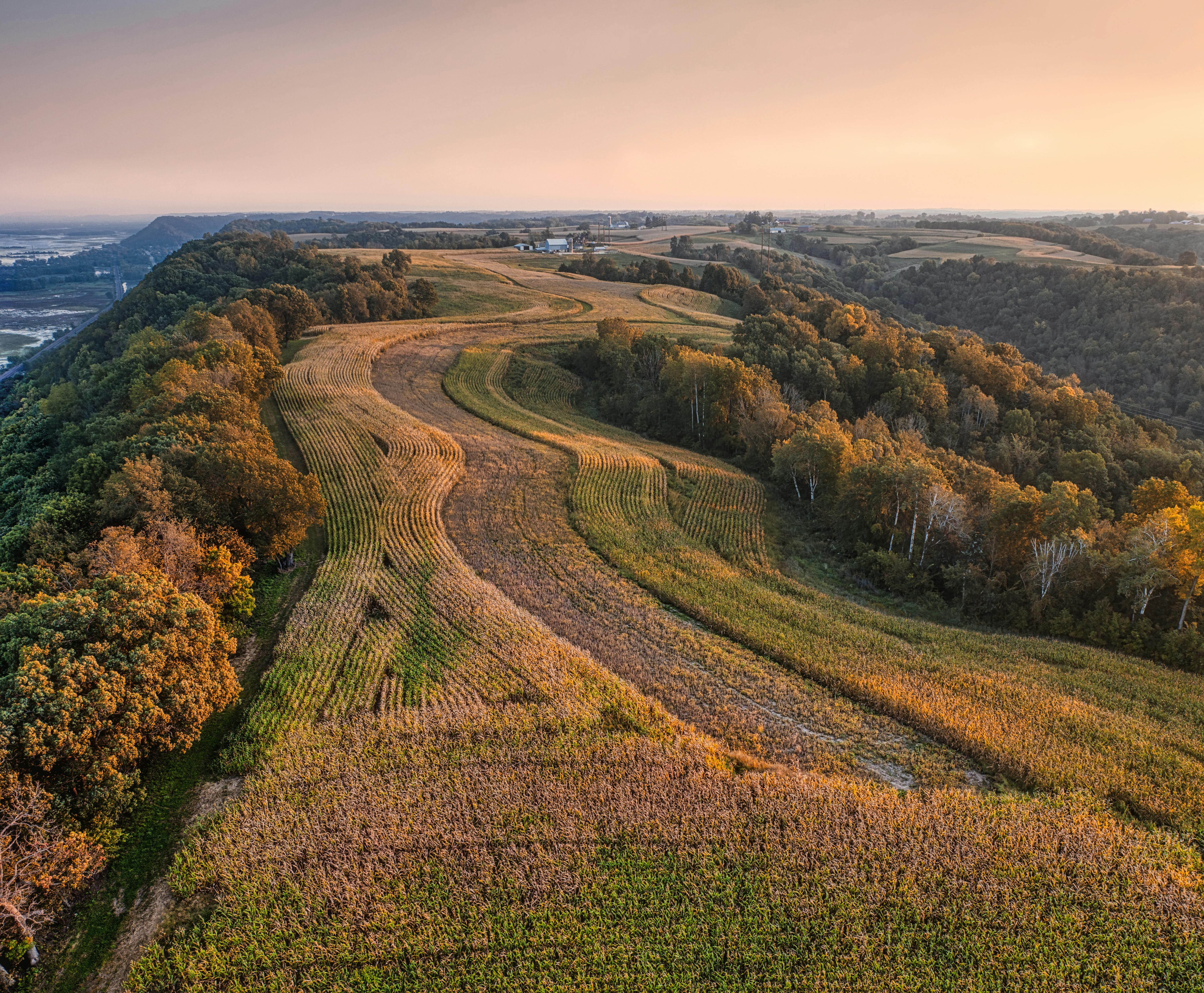 Midwest AI/Machine Learning Generative AI Bootcamp for College Faculty — Photo by Tom Fisk on Pexels