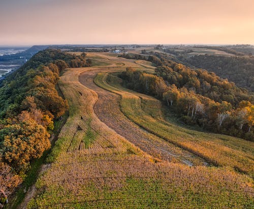 Gratis stockfoto met Bos, dronefoto, gras