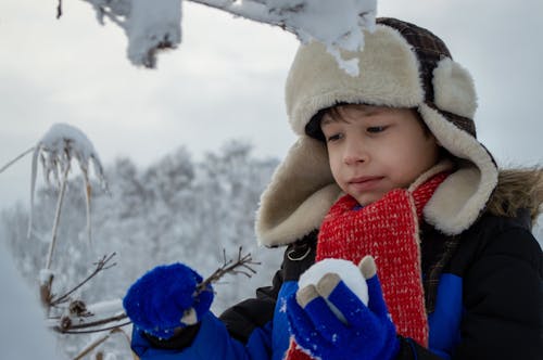 Free Photos gratuites de boule de neige, branche d'arbre, chapeau de trappeur Stock Photo