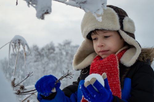 Free A boy in a trapper hat and scarf holds a snowball in a snowy forest. Stock Photo