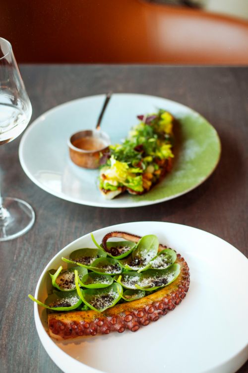 Free A close-up of a gourmet octopus dish artfully presented with fresh greens on a stylish plate. Stock Photo