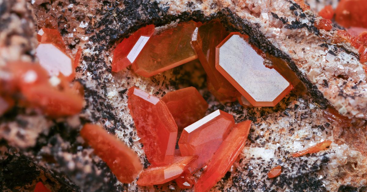 Minerales y compuestos tóxicos: los 8 más letales para el ser humano y su prevención Minerales y compuestos tóxicos: los 8 más letales para el ser humano y su prevención