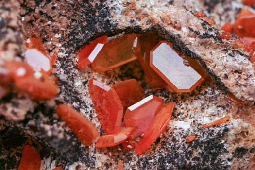 Detailed view of vibrant red hexagonal crystals embedded in rocky surface.