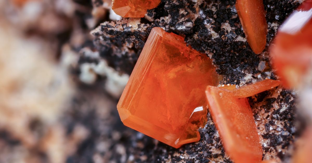 Los 8 minerales y compuestos más tóxicos presentes en la corteza terrestre y su peligrosidad Los 8 minerales y compuestos más tóxicos presentes en la corteza terrestre y su peligrosidad