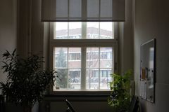 A quiet office space featuring desks, chairs, and indoor plants with a large window view.