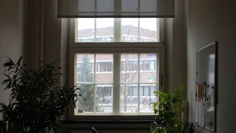 A quiet office space featuring desks, chairs, and indoor plants with a large window view.