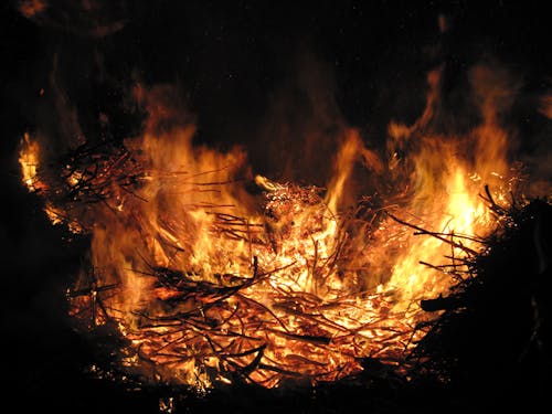 검은색 배경, 모닥불, 불의 무료 스톡 사진