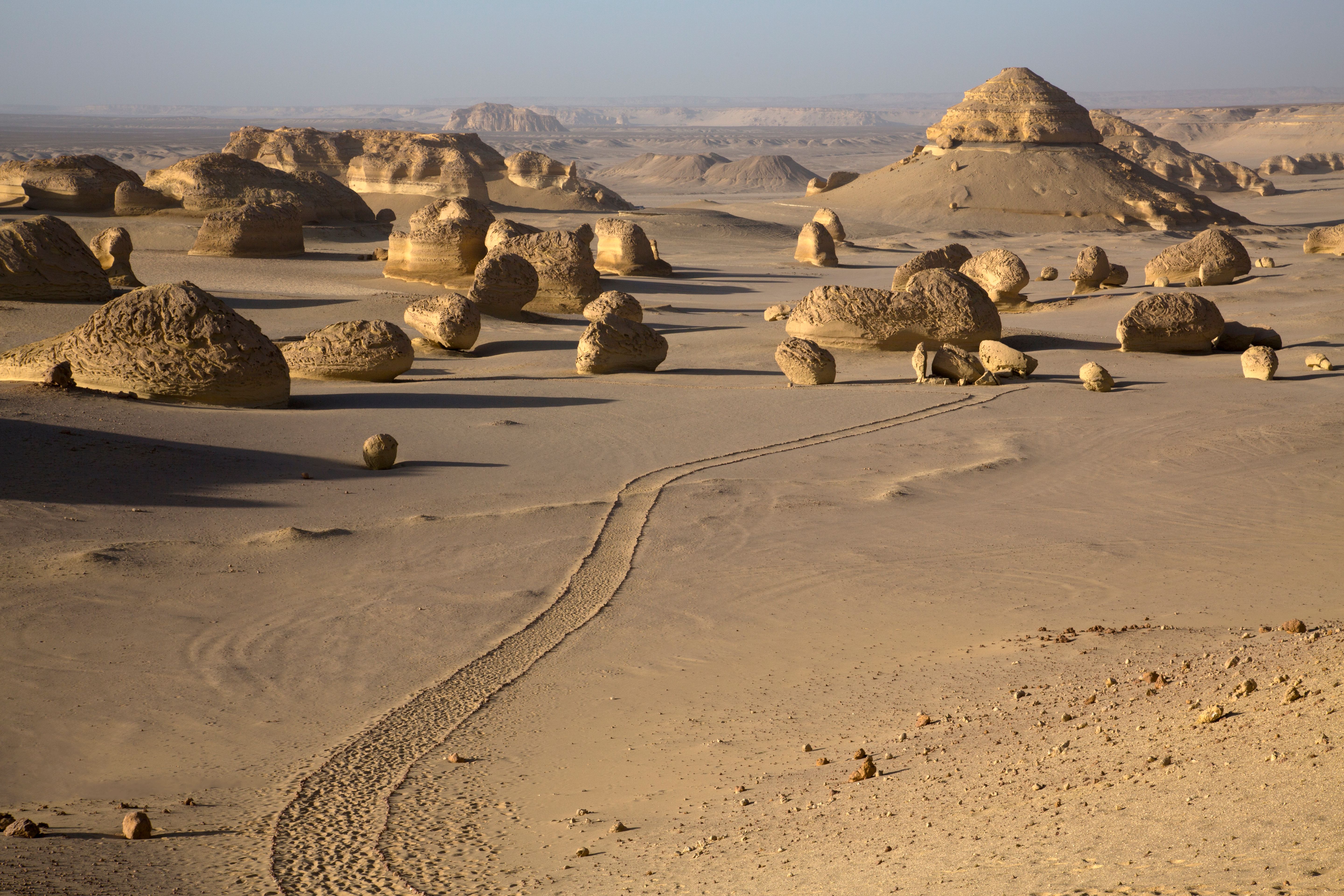 2-dniowa wycieczka do oazy Fayoum i Wadi El Hitan z Kairu — 12