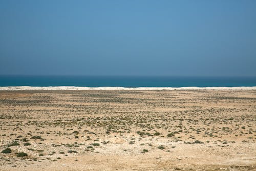 Foto profissional grátis de água, ao ar livre, areia