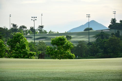 Darmowe zdjęcie z galerii z drzewa, klub golfowy, krajobraz