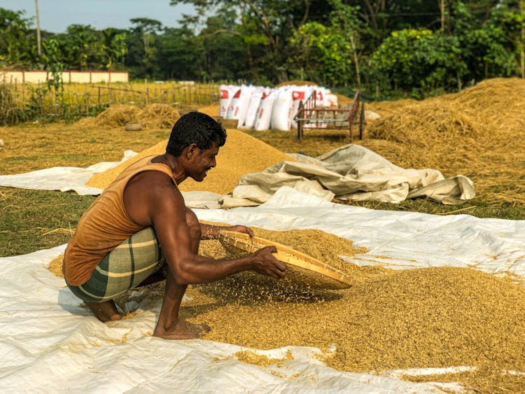 Farmer At Work