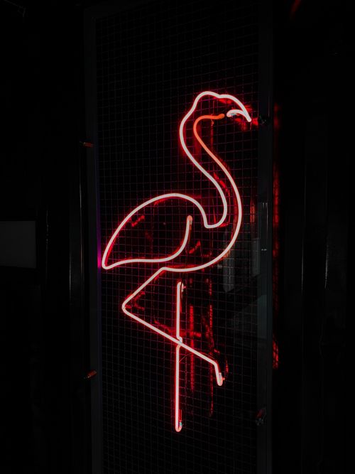Free Bright neon flamingo sign glowing in dark ambiance, perfect for nightlife themes. Stock Photo