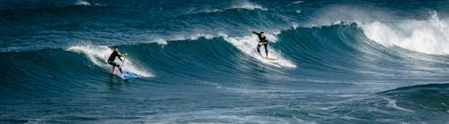 Ücretsiz Suyun üzerinde Kayan İki Sörfçü Stok Fotoğraflar