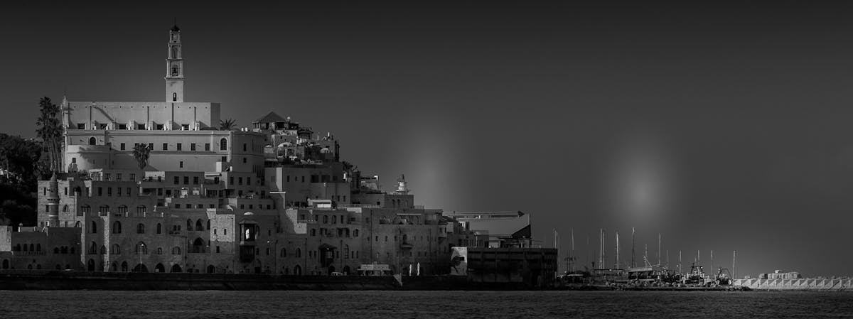 The Serengeti Crossing