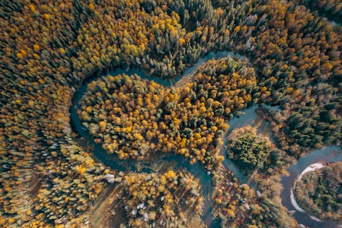 Drone View on Autumn Forest and River 