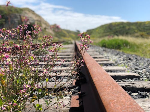 Мелкофокусная фотография железной дороги