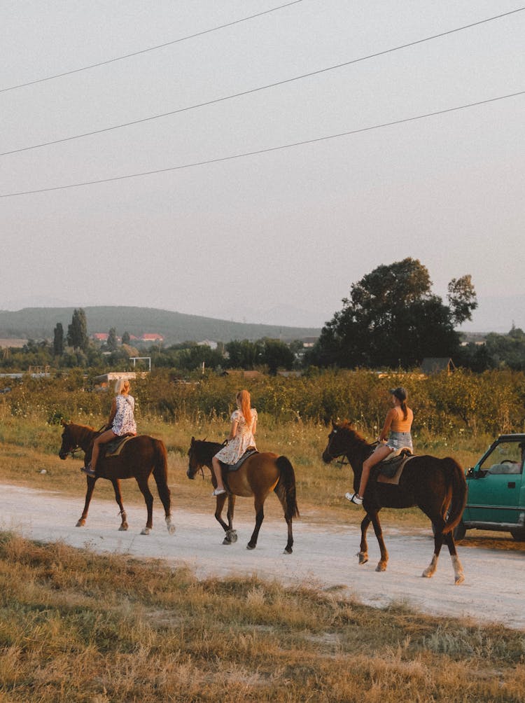 Photo Of Women Riding Brown Horses