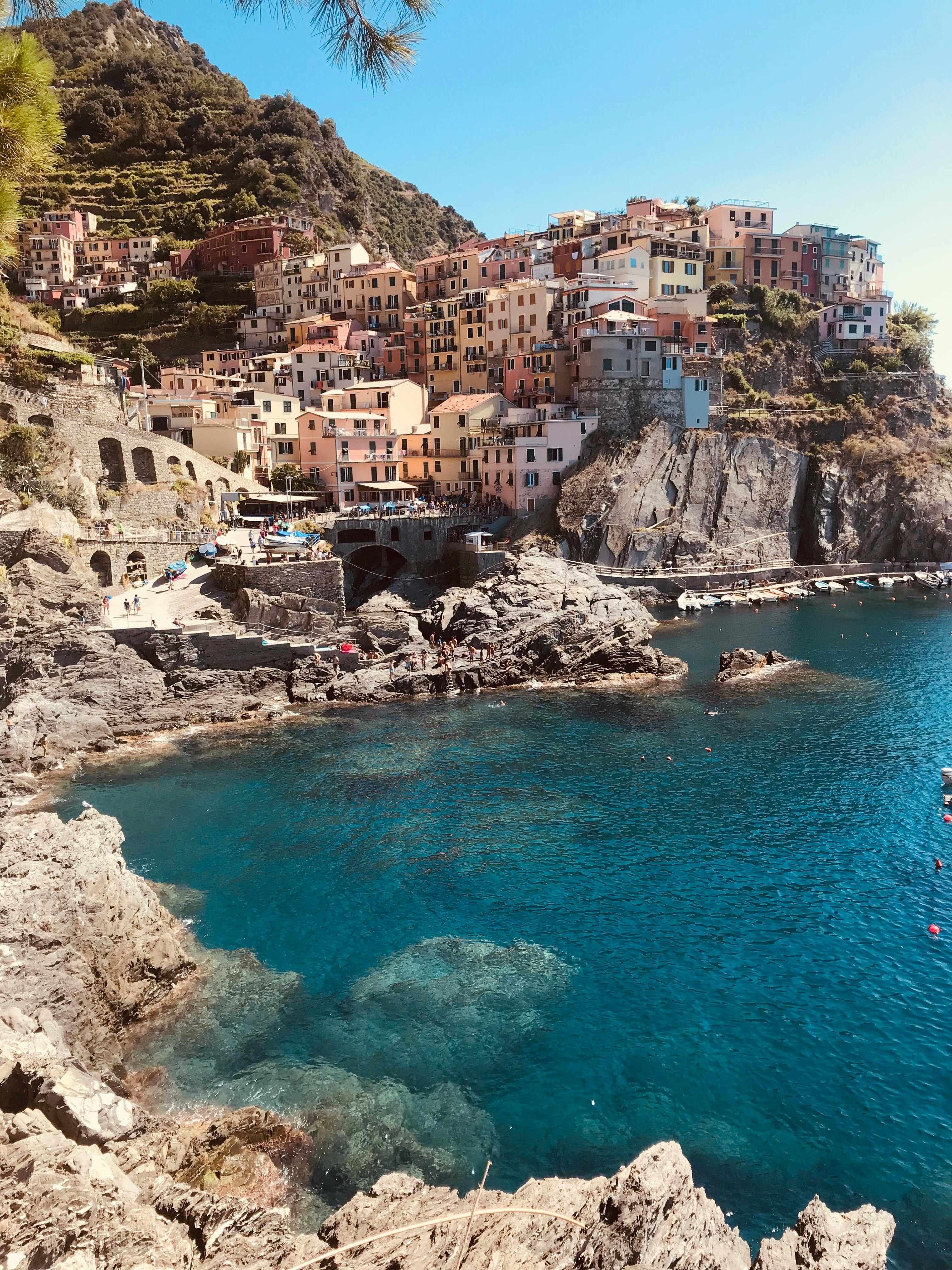 Close-up of a cat's face showing its eyes and whiskers
