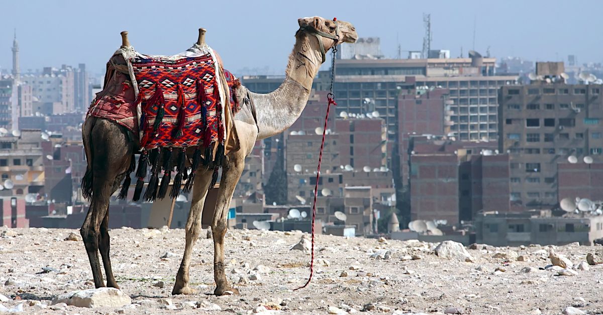Egypt Finance Minister Pressed on Whether Growth Reaches Citizens' Pockets