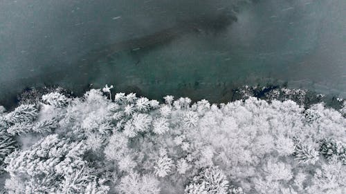 Drone Shot of a Frozen Lake Near Trees During Winter