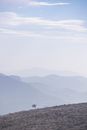 Majestic rocky mountains against blue cloudy sky through desert valley route in sunny morning
