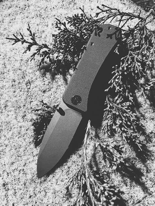 Grayscale Photograph of a Knife