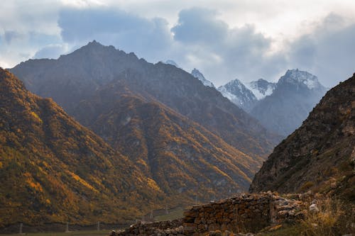 View of a Valley in Autumn