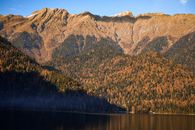 Brown and Green Trees Near Lake and Mountain