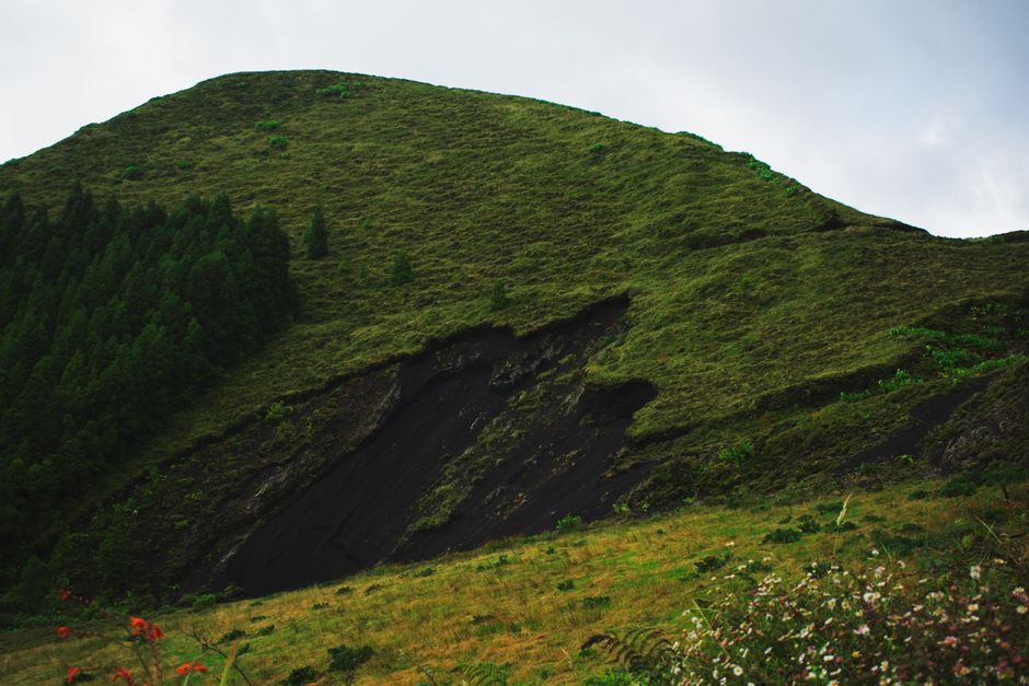 Lush green hillside landscape in Açores, Portugal, showcasing natural beauty.