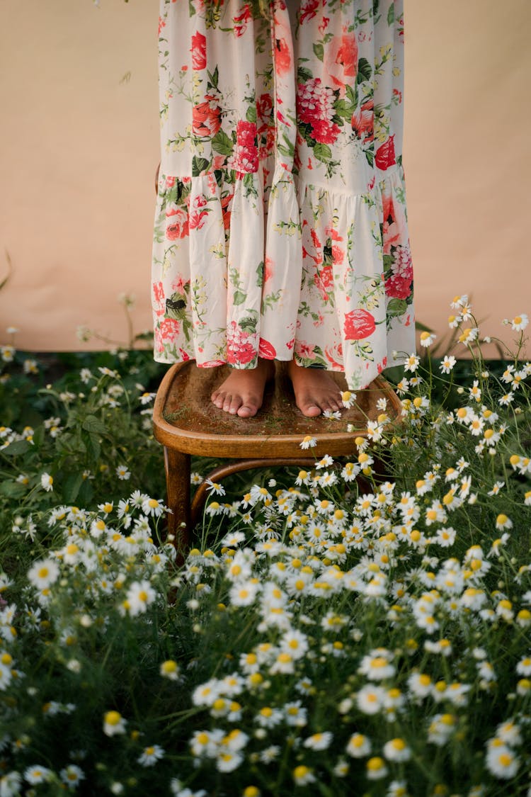 Woman Standing On Chair On Flower Field