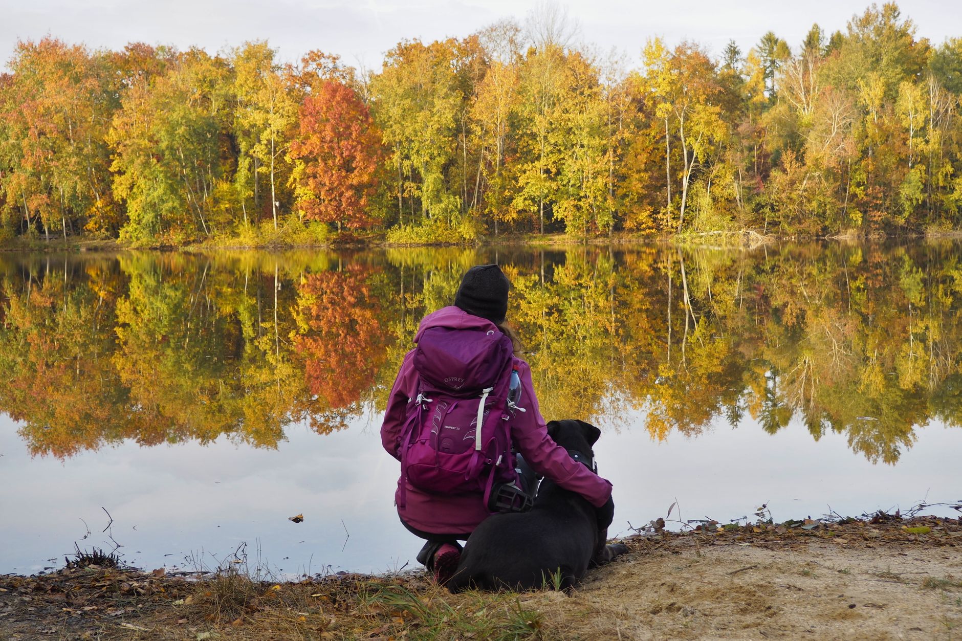 A person and dog enjoying the vibrant autumn colors by a tranquil lake in Czechia.