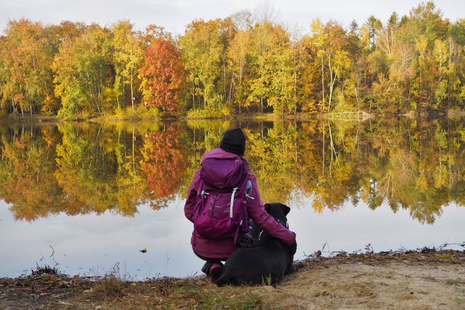 dog backpack saddlebag hiking carry gear fit