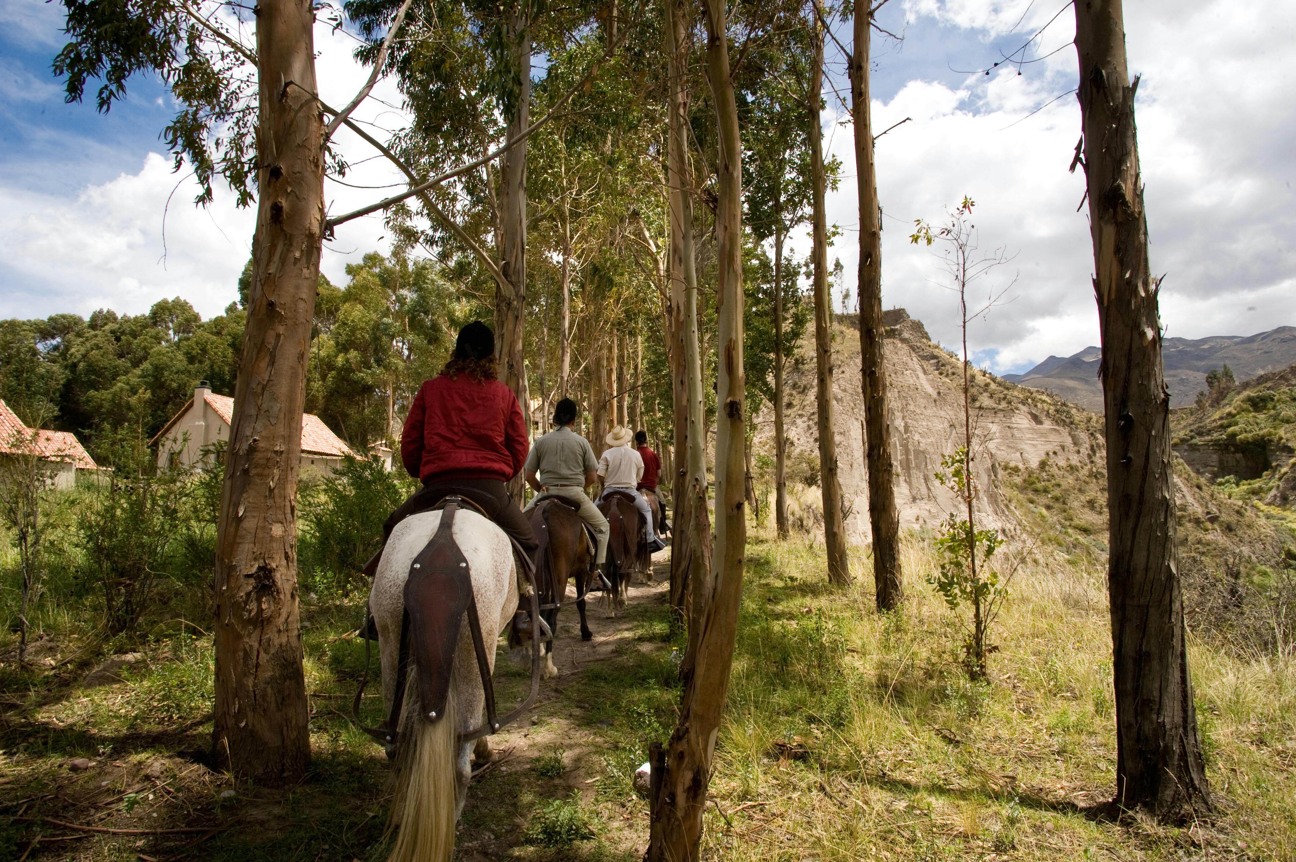 Idaho Horseback Riding