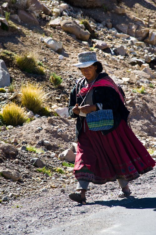 Woman in Red Skirt Carrying a Bag