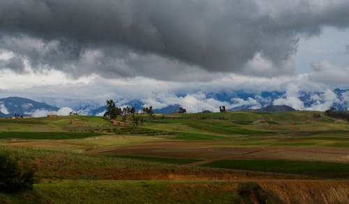 Green Grass Field Under Cloudy Sky