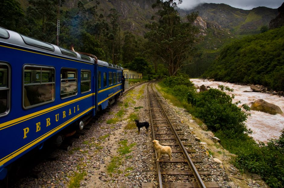 Train PeruRail bleu longeant la rivière Vilcanota dans les Andes péruviennes