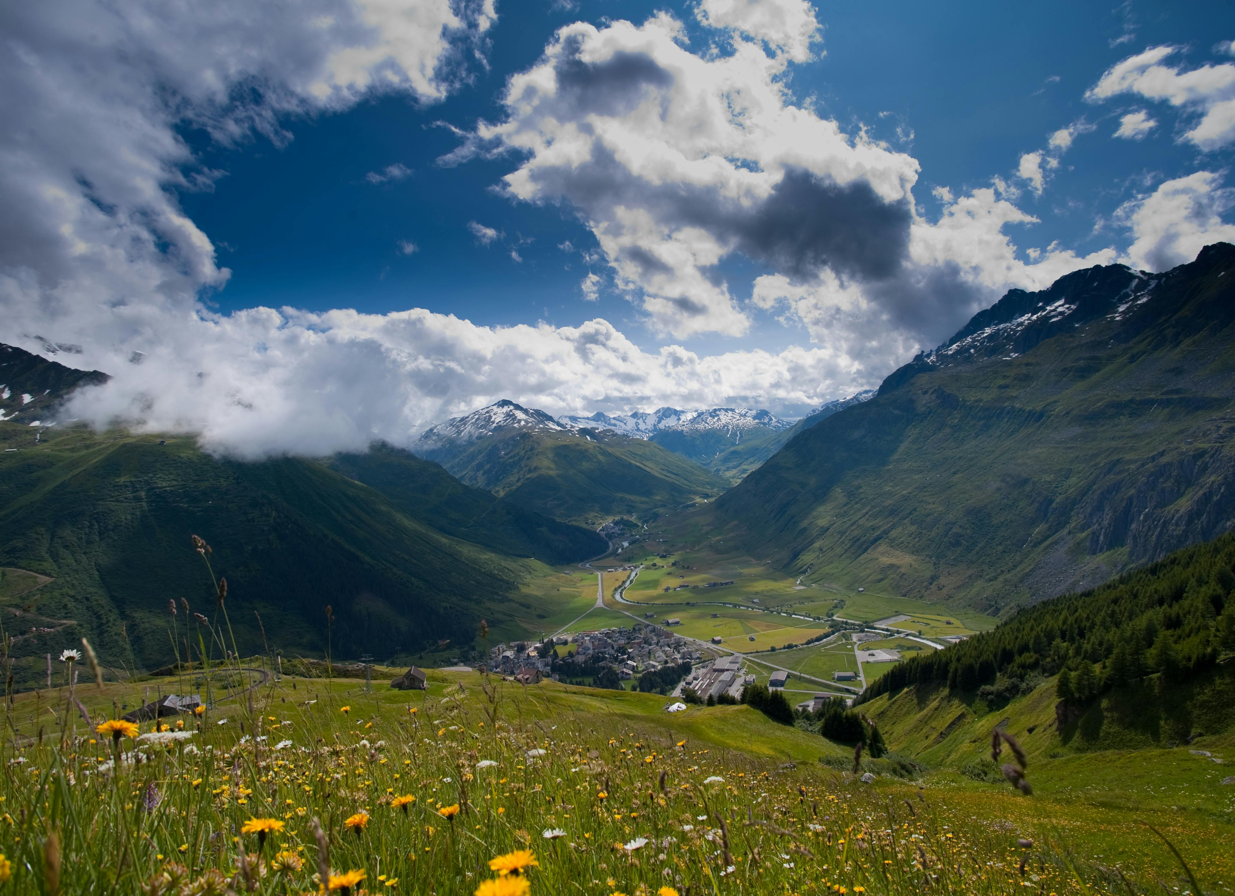 Alpine Wildflower Meadows — Bernese Oberland