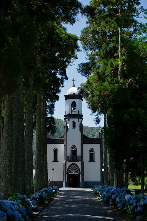 White and Black Church Near Green Trees