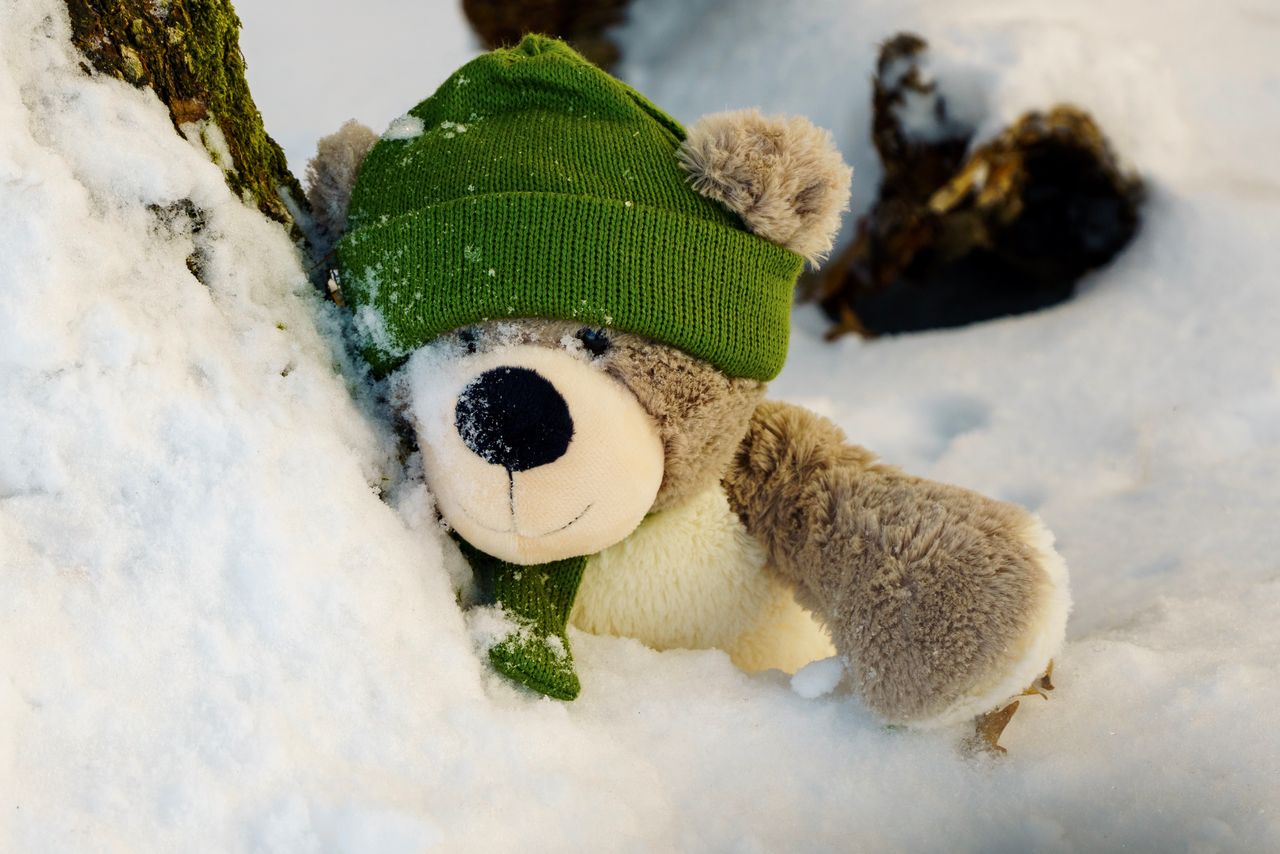 a fluffy teddy bear wearing a green hat nestled in the winter snow sur