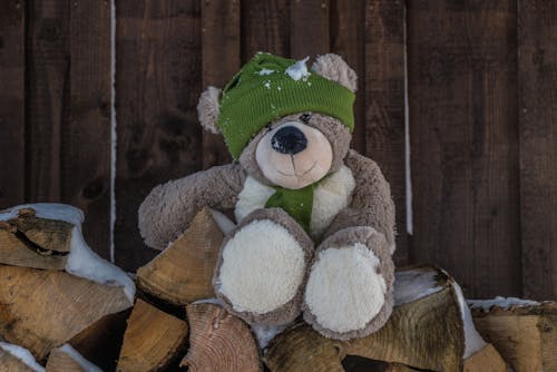 Free Teddy Bear on Top of Firewood Stock Photo