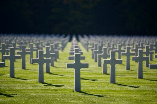 бесплатная Бесплатное стоковое фото с белые кресты, военное кладбище, война Стоковое фото