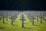 Field of White Crosses