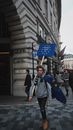 Person in Gray Hoodie Holding Blue Signage