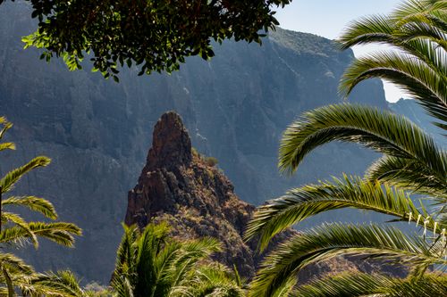 Free Dramatic rock formation surrounded by lush palm trees in Masca Gorge, Tenerife. Stock Photo