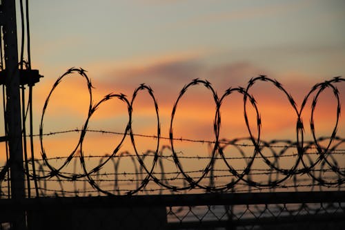 Free Barbed Wires on a Fence Stock Photo
