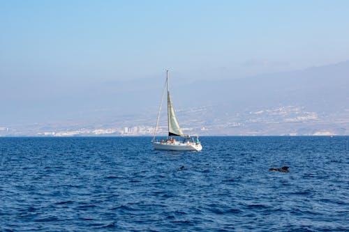 White Sailboat on Sea