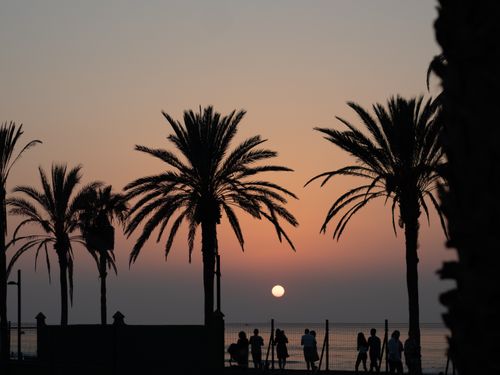 Free Silhouetted palm trees and people enjoying a serene sunset at Playa de las Américas, Spain. Stock Photo