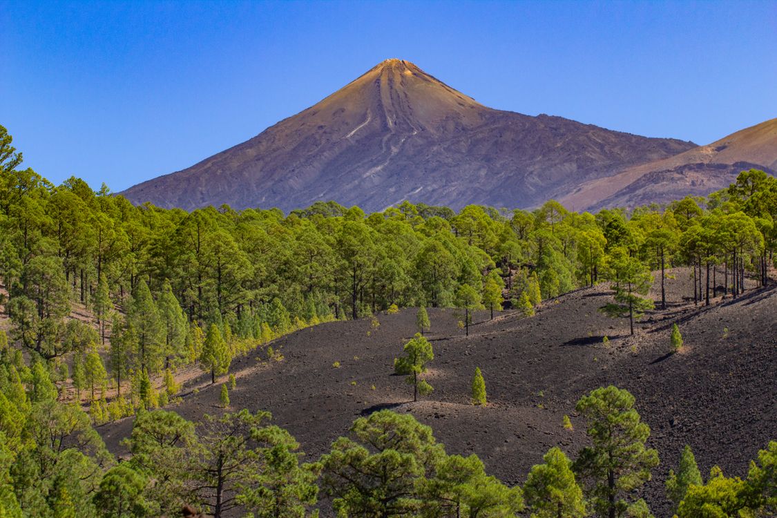 Vulcano Trees Green Trees near Volcano under the Blue Sky · Free Stock Photo