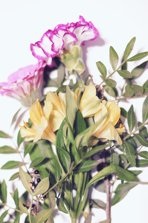 Free Close-up of a colorful bouquet featuring freesia and carnations with lush green leaves. Stock Photo